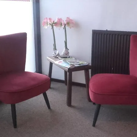 Отель Restaurant De Buizerd 3*