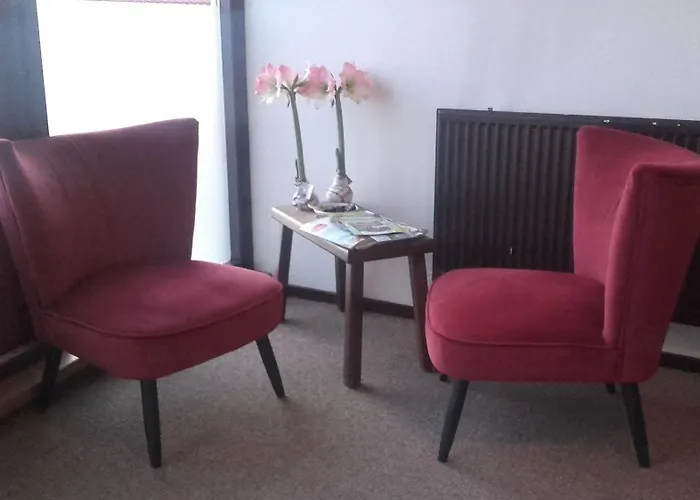 Szálloda Restaurant De Buizerd 3*